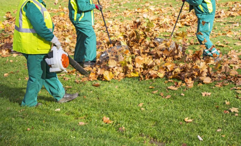 Local Roof Leaves Removal pros at work