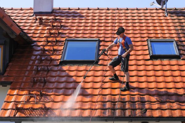 Grow your Roof Leaves Removal business
