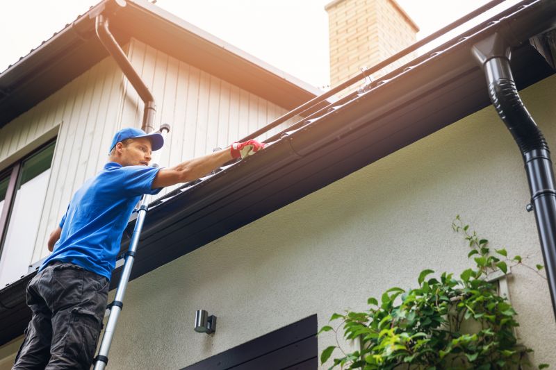 Climbing Ladders for Gutter Access