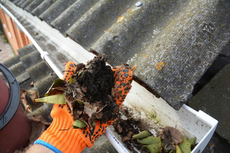 Clean Gutters with Debris