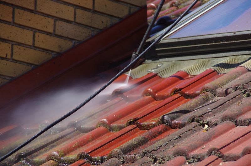 How Roof Cleaning Helps Prevent Mold, Algae, And Moss Growth