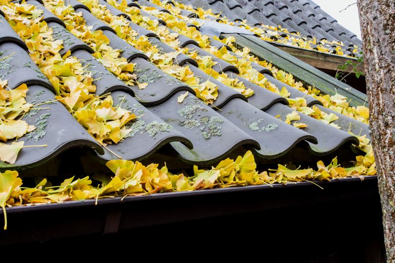 Roof Leaves Removal