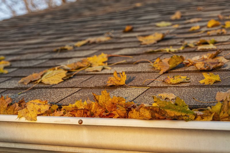 Roof Leaves Removal