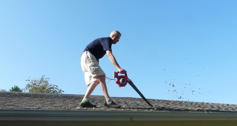 Roof Leaves Removal