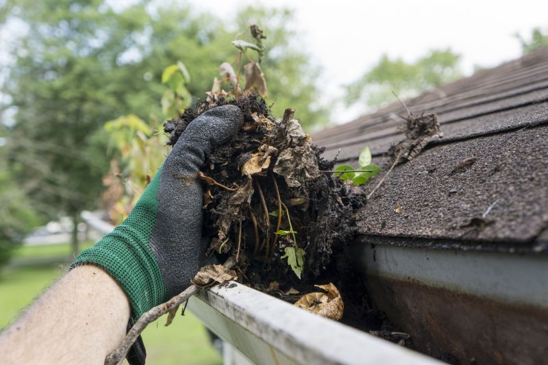 Roof Leaves Removal