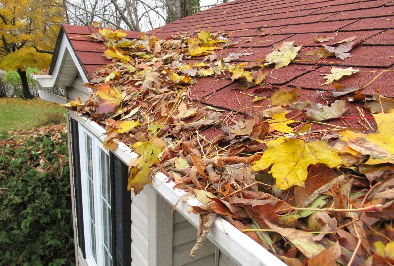Clean Roof After Leaf Removal