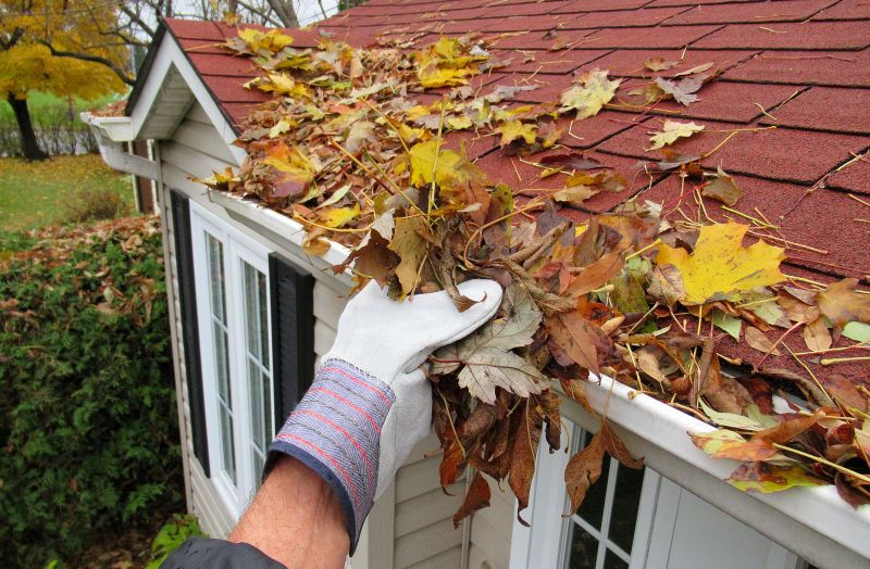Roof with Fallen Leaves