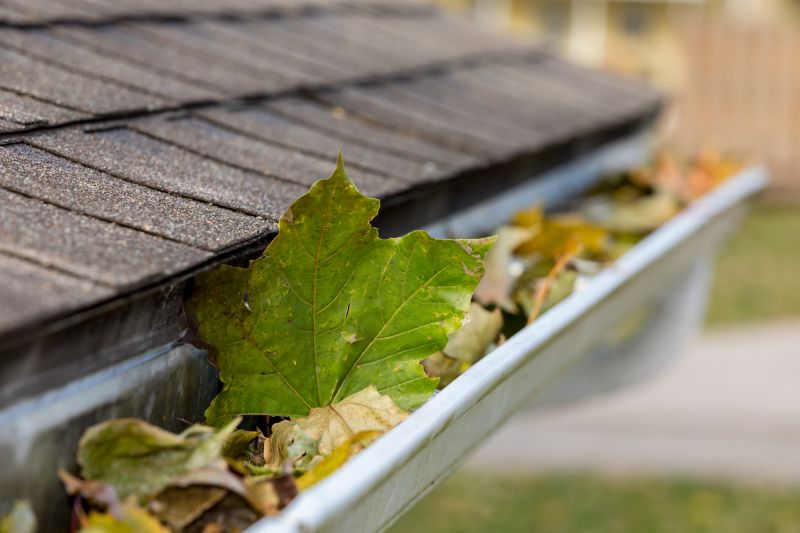 Gutter Clogging from Leaves