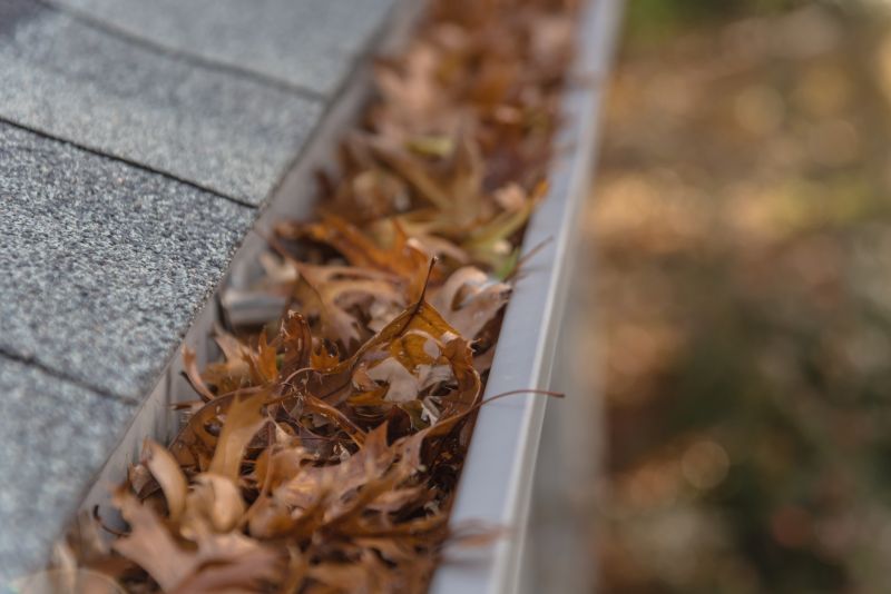 Leaf Debris on Roof