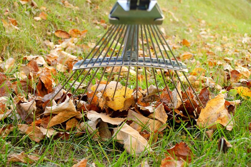Tools for Leaves Removal