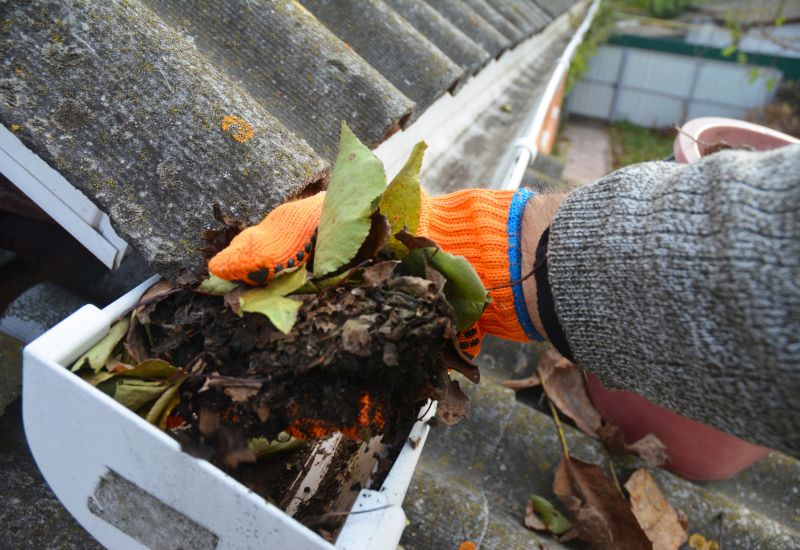 Accumulated Leaves on Roof