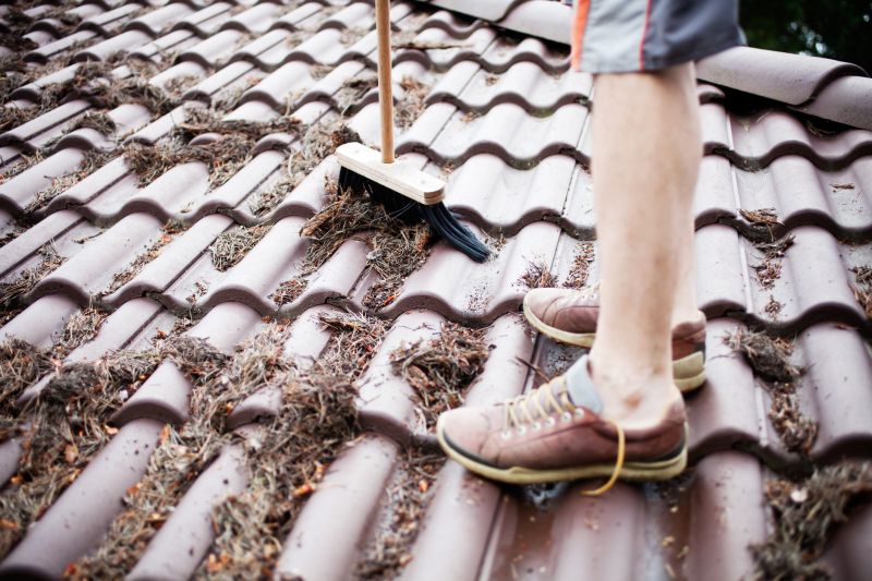 Roof Leaves Removal